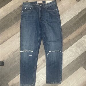 Everlane The Summer Jean Blue Ripped Relaxed Women’s Jeans